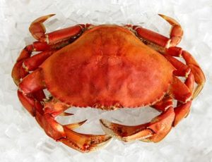 frozen-cooked-dungeness-crab